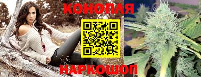 гидропоника Гусиноозёрск