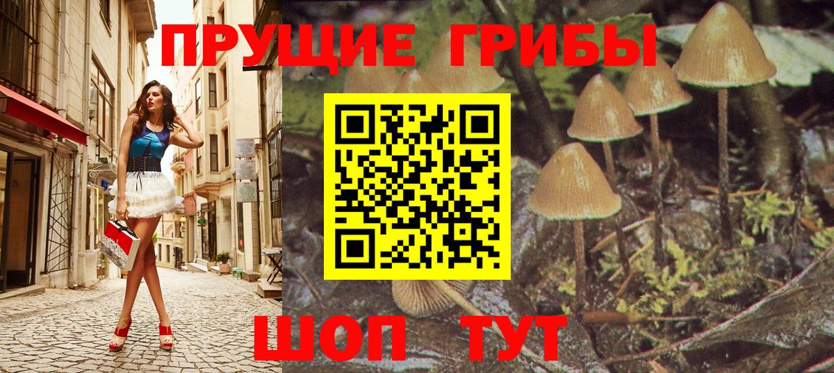 Ялта  Галлюциногенные грибы MAGIC MUSHROOMS  Вход с VPN 